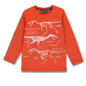 chlapčenské tričko LEMON BERET dinosauri